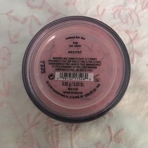 Loose blush powder (color—“secret”)